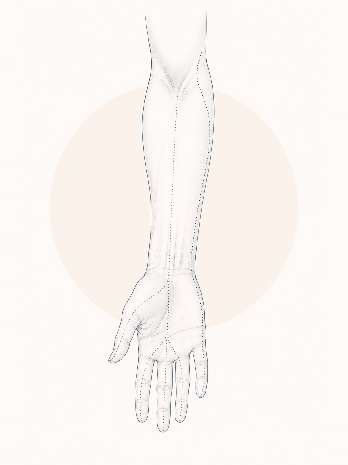 Elbow and nerve